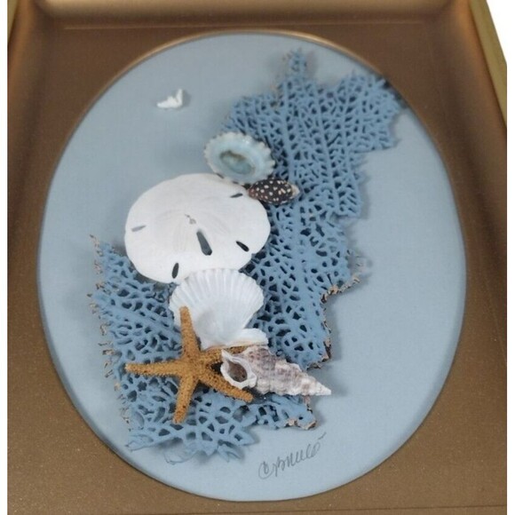 Nautical Shadow Box Shell Starfish Sand Dollar Coral Signed 8x6 Frame Decor - Picture 2 of 7